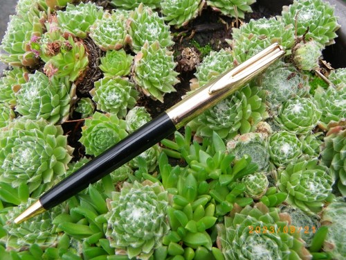 Ancien stylo bille waterman - stylo,