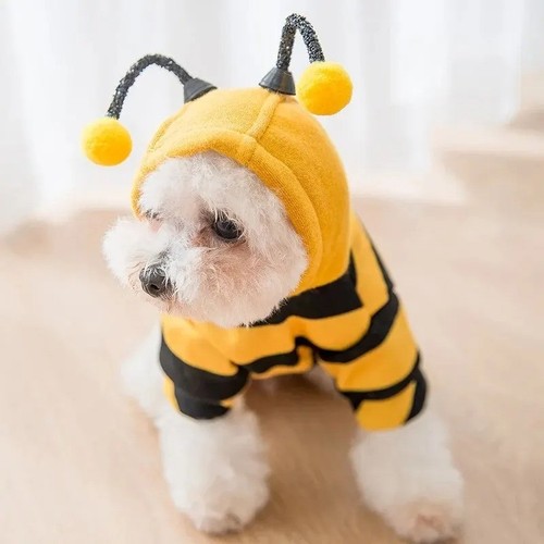 Costume chien chat - chien,