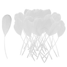 JDNFKG 50 Pièces De Plumes