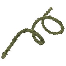  Ornement De Vigne Reptile