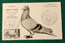 Carte Postale - Souvenir du