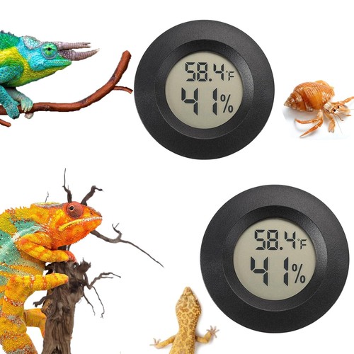 Reptile thermometer and - reptile,
