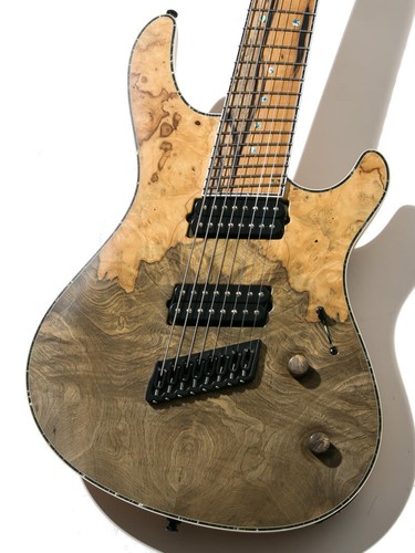 Mayones regius buckeye - mayones, vf