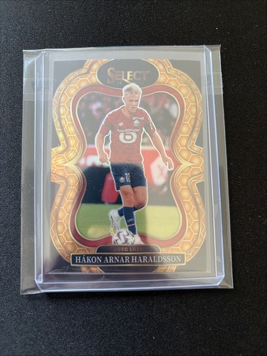 Panini 2025 select prizm - panini,