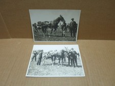 BORDEAUX (33) 2 photographies