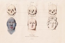 Phrenologie Crâne Squelette