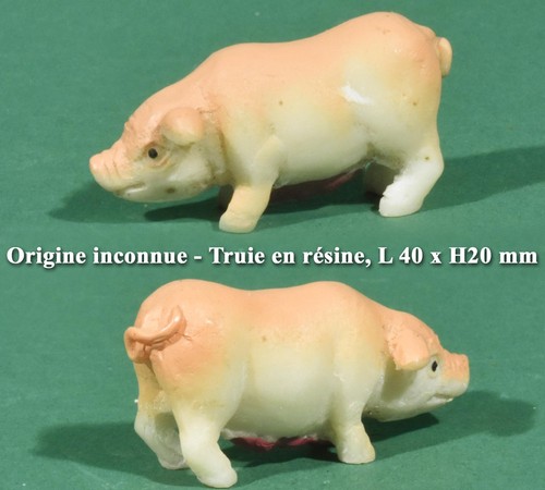 Origine inconnue truie en - origine, inconnue,
