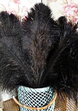 LOT 7 ANTIQUE LARGE OSTRICH FEATHERS FOR OLD MILLINER STOCK HAT