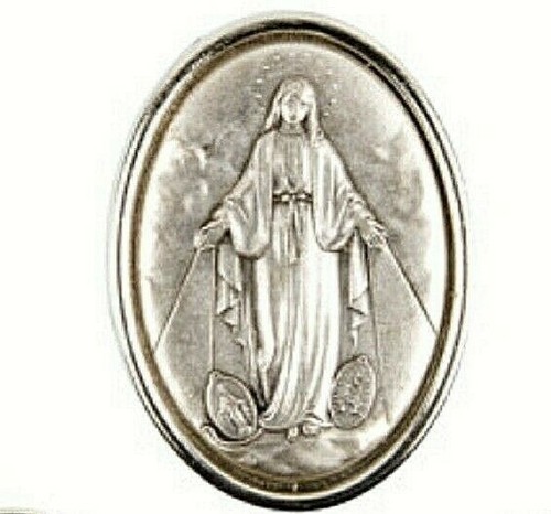 Plaque auto magnet - , vierge