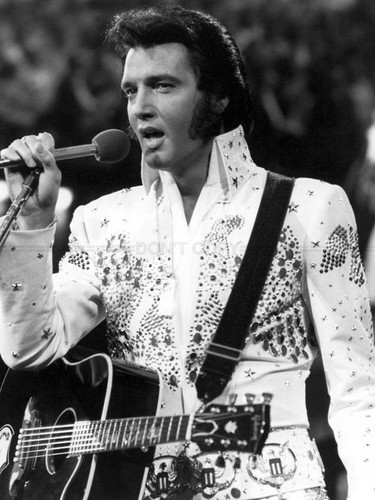 Photo elvis presley concert - -,