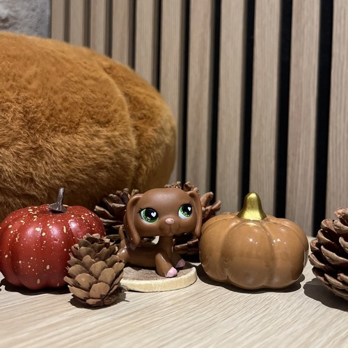 🌸#556 littlest petshop