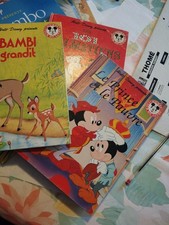 Lot De Livres Disney 
