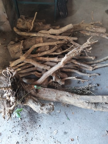 Important lot pour tournage - pour,