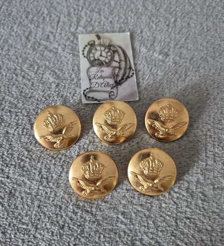 Boutons militaire force - 5,