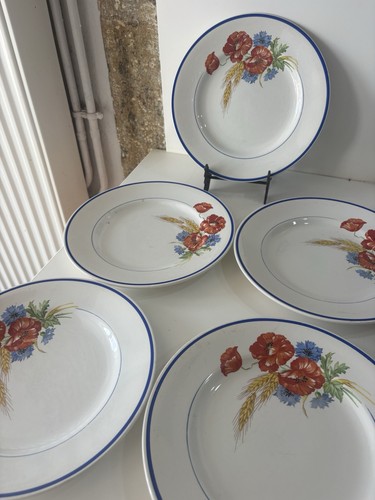 Anciennes assiettes plates - 5,