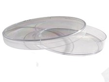 Boîte de Pétri Ronde 4