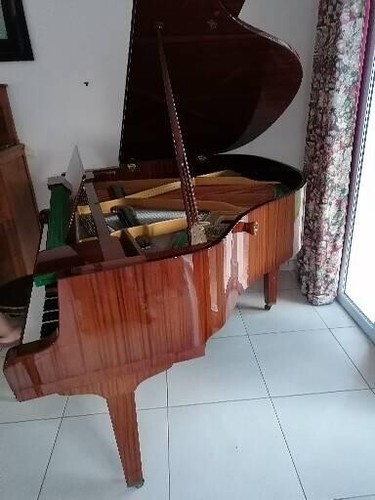 Piano queue petrof - À,