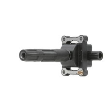 BorgWarner (BERU) ZS340 Bobine