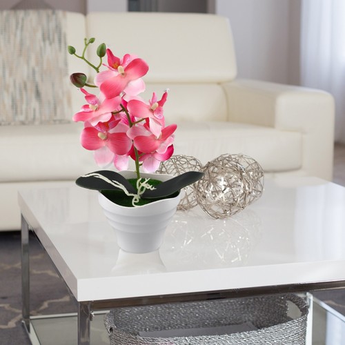 Fausse orchid e - fausse, orchid��e