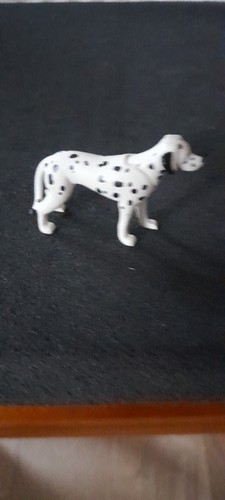 Animal chien compagnie - chien, de