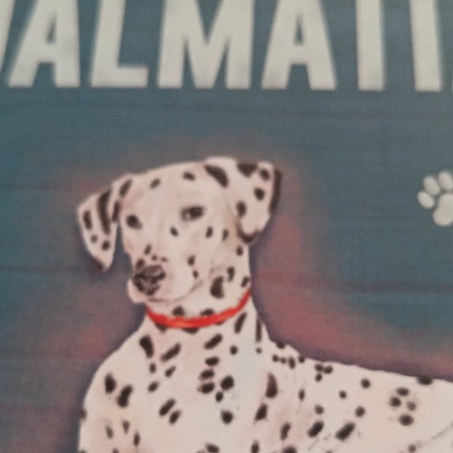 Plaque acier chien - acier, dalmatien