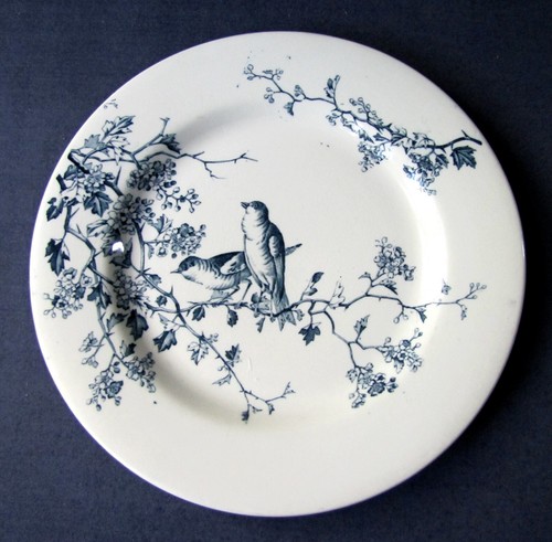 Assiette service fauvette - service,