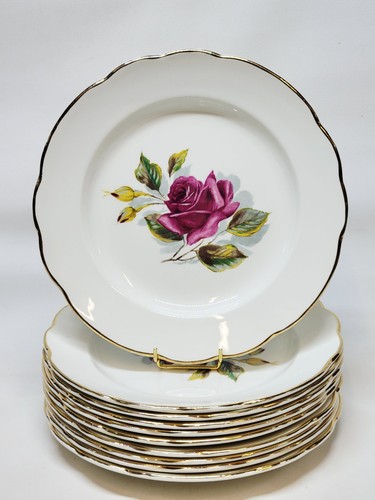 Assiettes plates gien - assiettes,