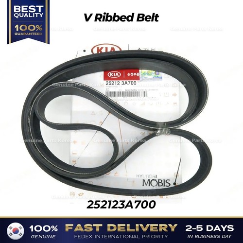 Genuine ribbed belt - v,