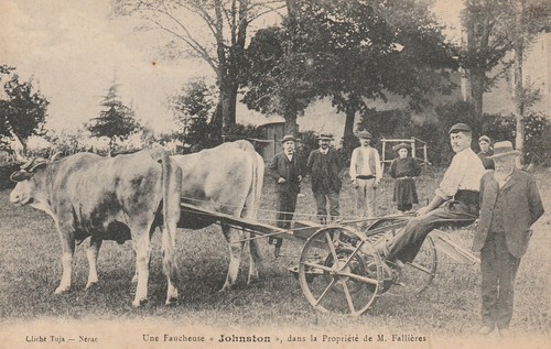 Une faucheuse johnston - faucheuse, chez