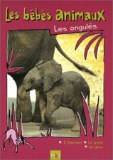 V523652 - Bébés animaux 