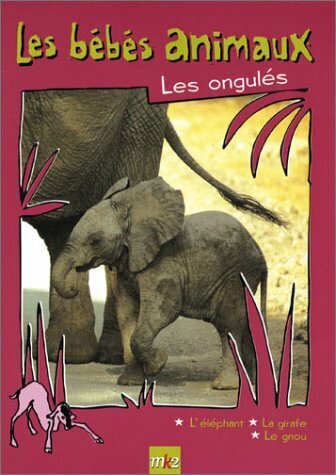 V523652 bébés animaux - -,