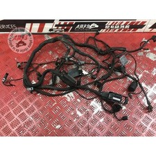 Faisceau électrique