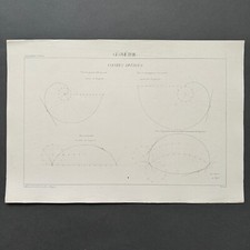 Dessins Géométrie Ecole