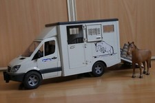 Vanne de transport cheval