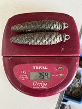 Ancienne Paire De poids