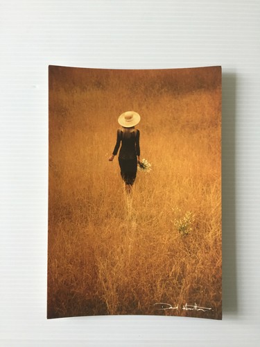 Carte postale david - ,