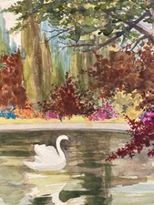 Very Beautiful Watercolor Painting Paper Underwood Lake 1930 To Identify Swan Forest