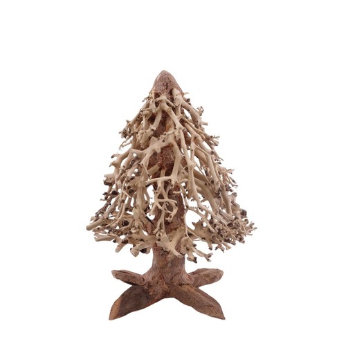 Bonsaï mammut arbre - arbre, racine
