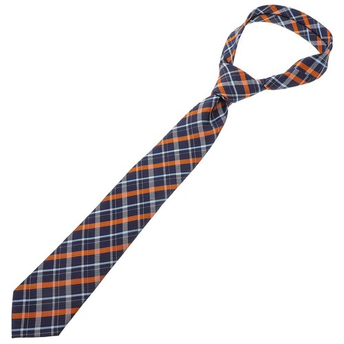 Cravates pour hommes - , style