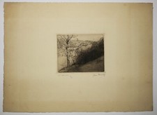 DONNAY Jean-"Le vallon"