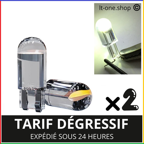 Ampoules led t10 can bus - 2,