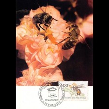 Carte maximum - n° 2039 v2 -