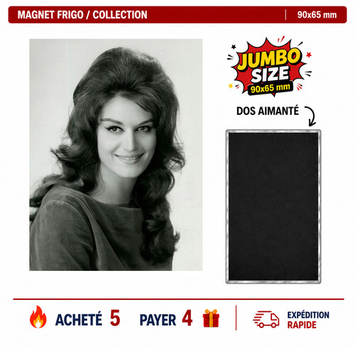 Magnet frigo dalida ver 27 - magnet,