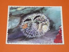 CHROMO 1962 BISCOTTES REINETTE AQUARIUM PANORAMIQUE #04 POISSON-PORC-EPIC