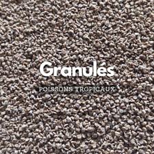 Granulés pour cichlidés - alimentation