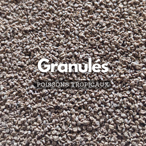 Granulés pour cichlidés - ,