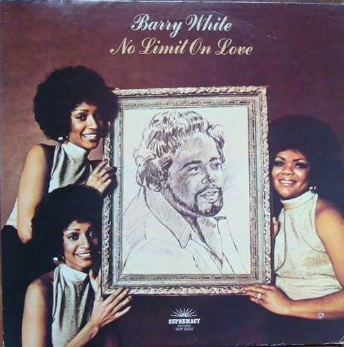 Vinyle barry white no - vinyle,