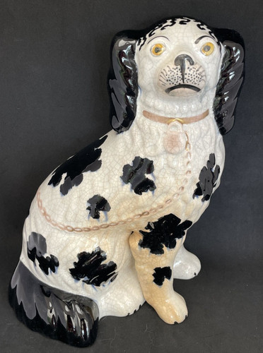 Chien staffordshire en - staffordshire,,