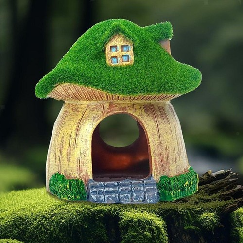 Aquarium champignon maison
