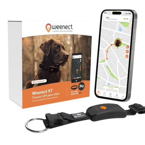 Chien nouveau collier - collier, gps